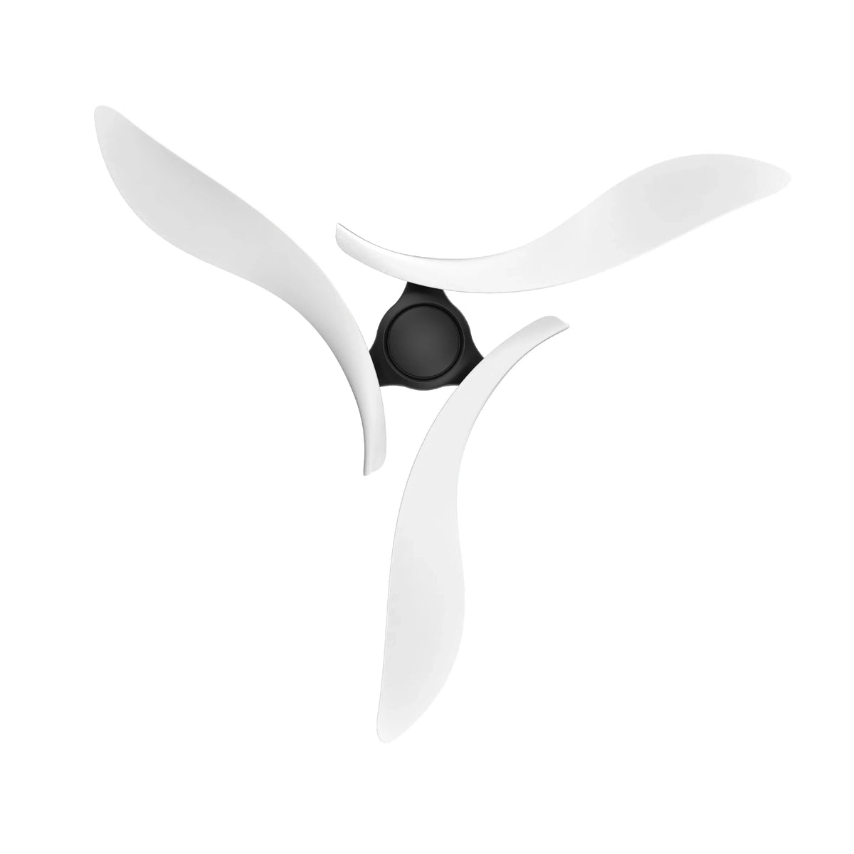 Rex Black Ceiling Fan 54" - Perimost