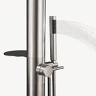 Noelle Outdoor Shower · Brushed Silver