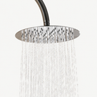 Celeste Outdoor Shower · Brushed Silver