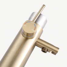 Luna Outdoor Shower · Brushed Gold