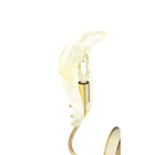 Phoenyra Wall Light