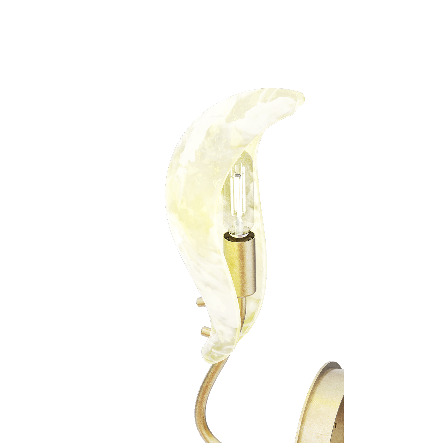 Phoenyra Wall Light