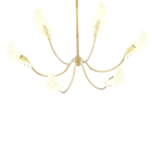 Phoenyra Chandelier