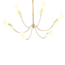 Phoenyra Chandelier