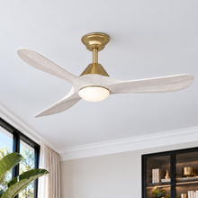 Sylvie 48" Solid Wood Ceiling Fan with Light · Charcoal & Matte Black