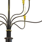 Floriva Chandelier