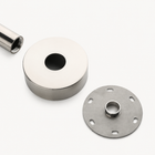 Celeste Outdoor Shower · Brushed Silver