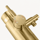 Arden Outdoor Shower · Brushed Gold