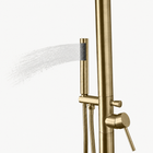 Lena Outdoor Shower · Brushed Gold