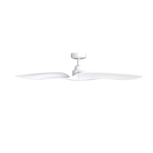 Punjab Ceiling Fan 52B