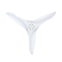 Punjab Ceiling Fan 52B