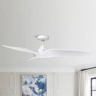 Punjab Ceiling Fan 52B