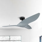 Punjab Ceiling Fan 52"