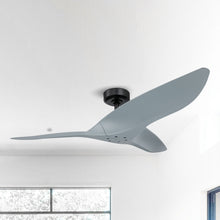 Punjab Ceiling Fan 52"