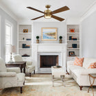 Bucholz Ceiling Fan with Light 52"