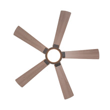 Vita Ceiling Fan with Light 52"