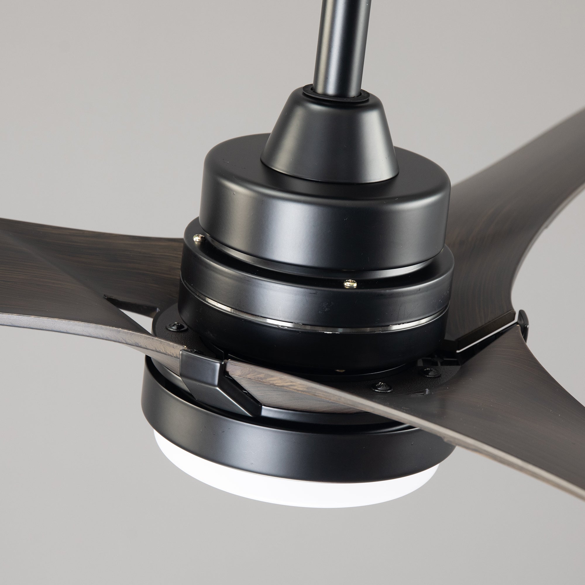 Ivy Ceiling Fan with Light 52"