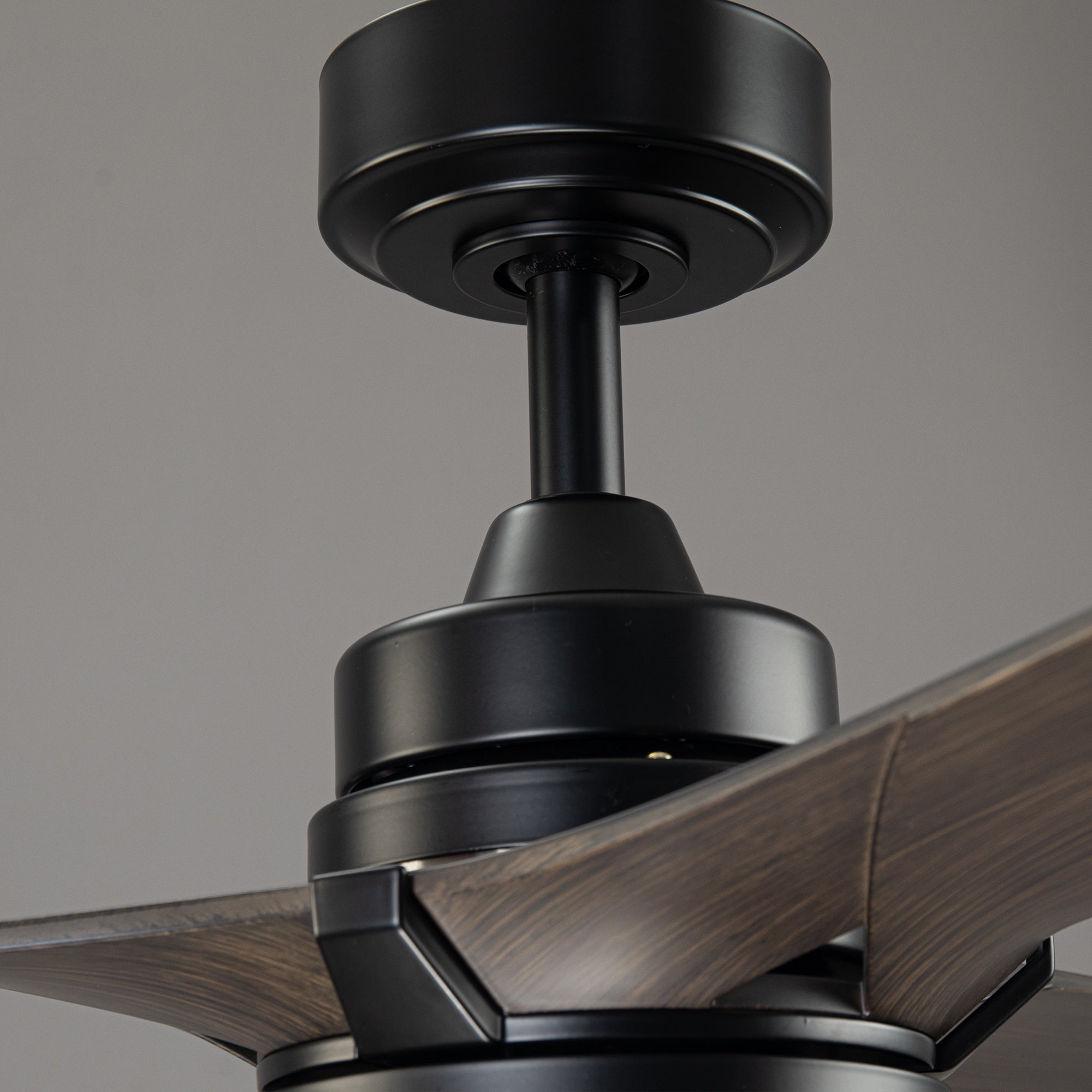 Ivy Ceiling Fan with Light 52"