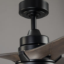 Ivy Ceiling Fan with Light 52"