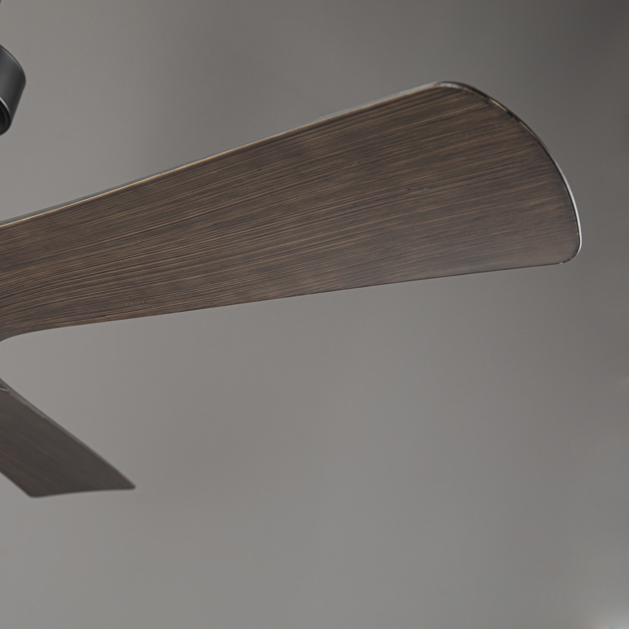 Ivy Ceiling Fan with Light 52"