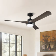 Ivy Ceiling Fan with Light 52"
