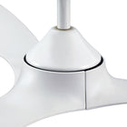 Modern Ceiling Fan 56B