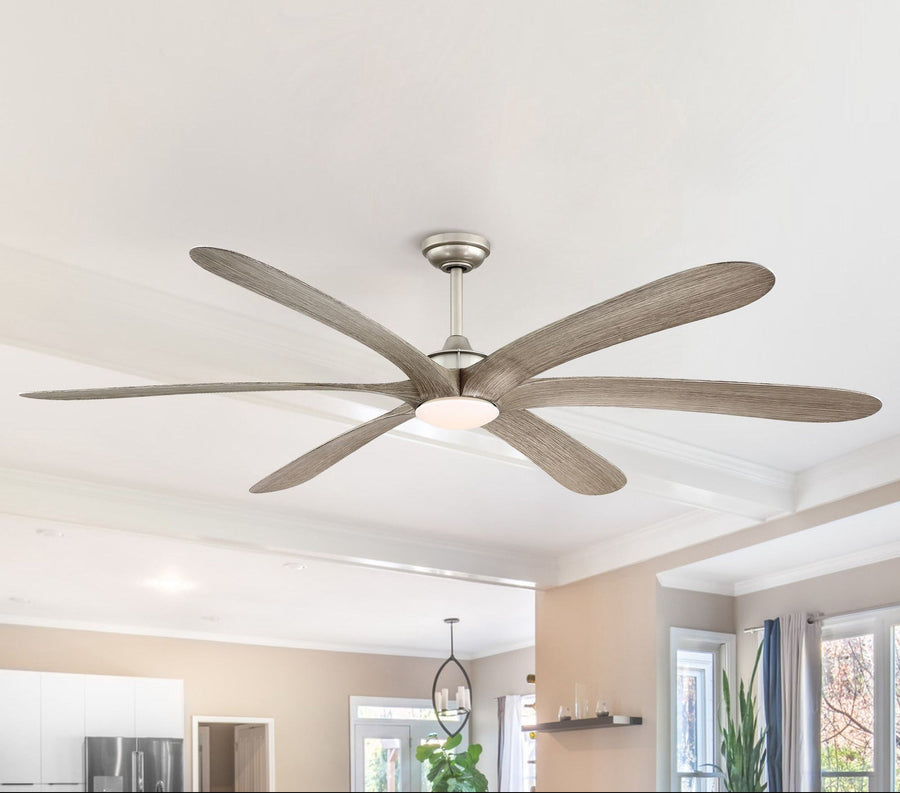 Jaydn Ceiling Fan with Light 72"
