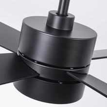 Bucholz RGB Ceiling Fan 52"