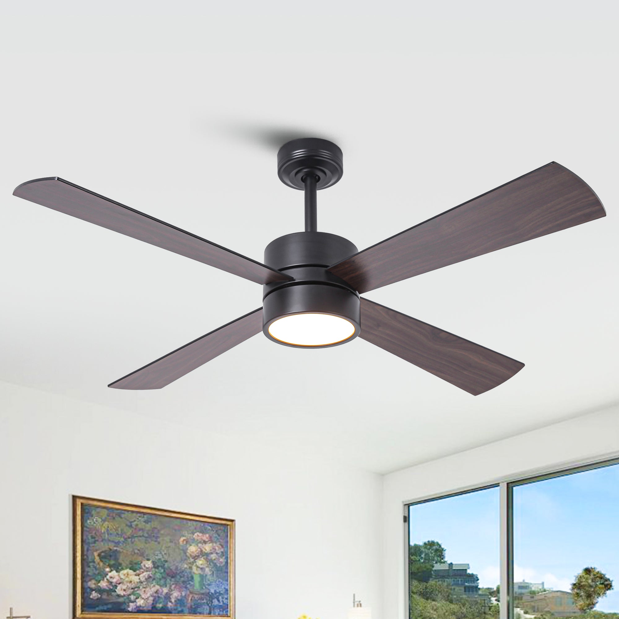 Bucholz Black RGB Ceiling Fan 52
