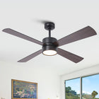 Bucholz RGB Ceiling Fan 52"