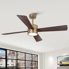 Bucholz RGB Ceiling Fan 52B