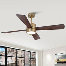 Bucholz RGB Ceiling Fan 52B