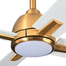 Linden Ceiling Fan with Light 48"