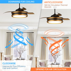 52" Cochin Smart Fan with LED Light