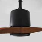 Modern ceiling fan with dark metal housing and wood blades, close-up view