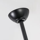 Alexi Ceiling Fan with Light 60B