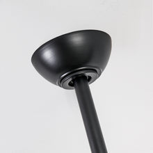 Alexi Ceiling Fan with Light 60B