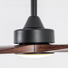 Alexi Ceiling Fan with Light 60B