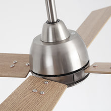 Linden Ceiling Fan with Light 48B