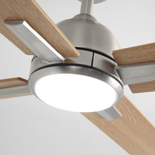 Linden Ceiling Fan with Light 48B