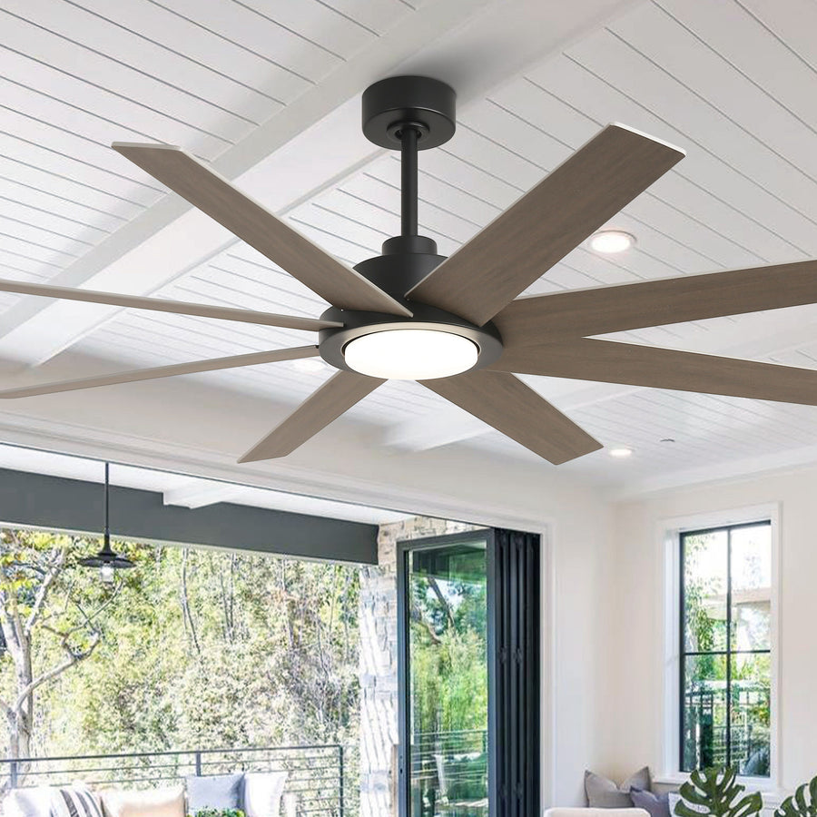 Modern 8-Blade Fan 60"