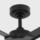 Winni Outdoor Ceiling Fan 72"