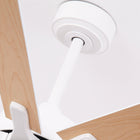 Balachandran Industrial Fan 65C