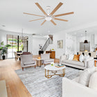 Balachandran Industrial Fan 65C