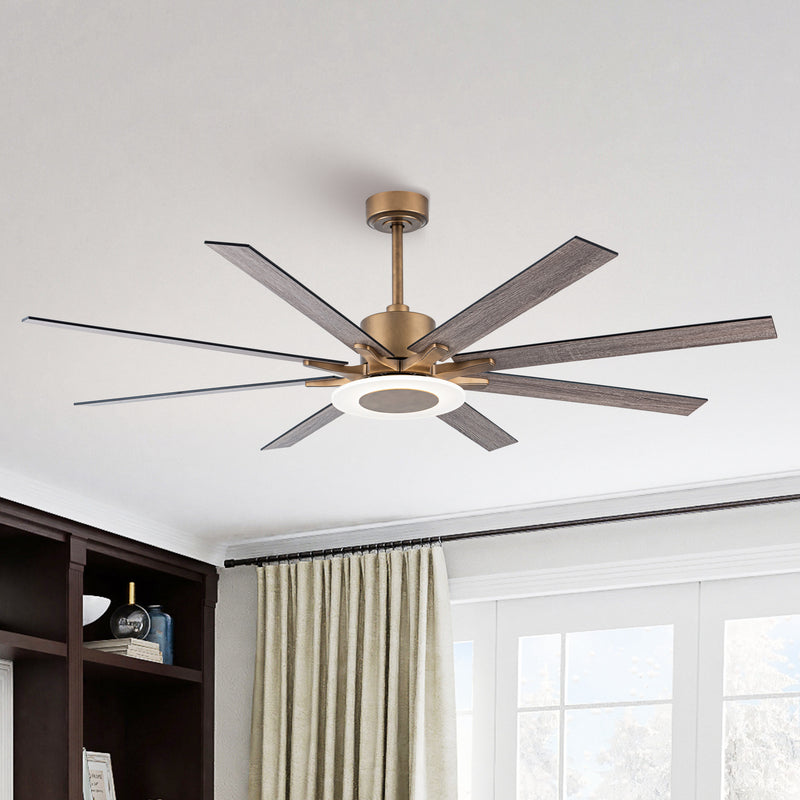 Godavari Ceiling Fan with Light 65"