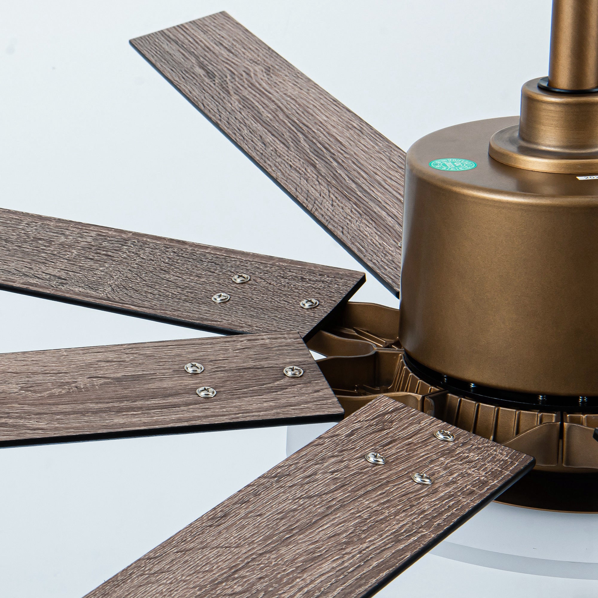 Godavari Ceiling Fan with Light 65"