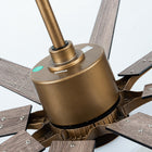 Godavari Ceiling Fan with Light 65"