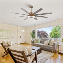 Godavari Ceiling Fan with Light 65"