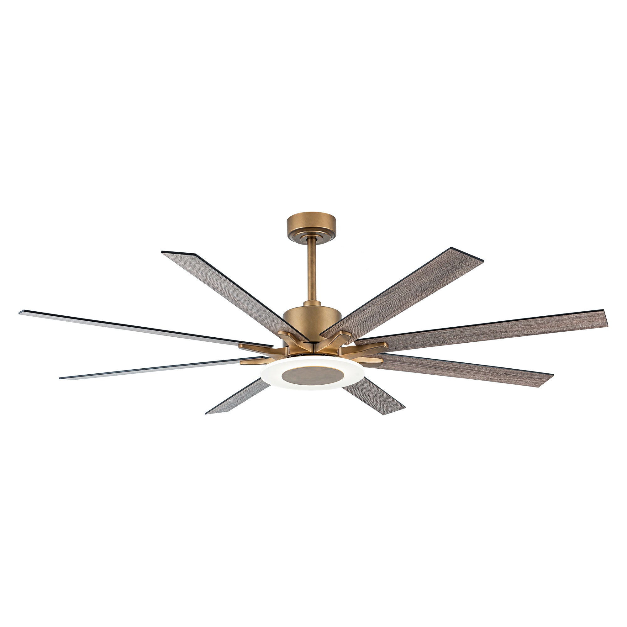 Godavari Ceiling Fan with Light 65"