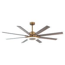 Godavari Ceiling Fan with Light 65"
